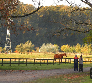 Chacras de Estevarena Servicios Inmobiliarios